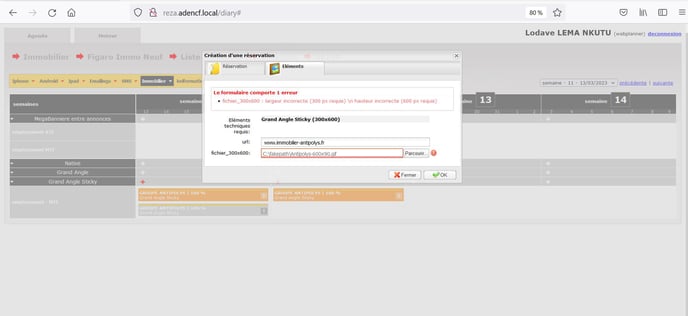 8-Reza ajout des éléments erreur